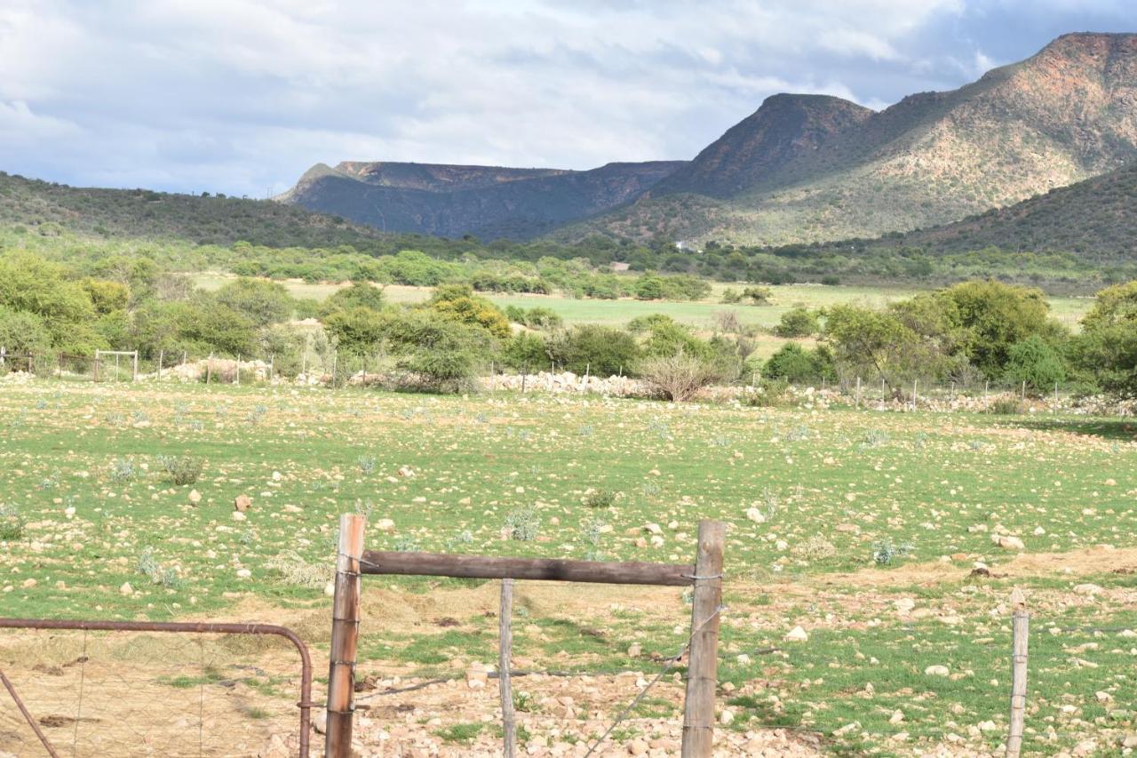 Baviaanskloof Guest Cottages Studtis Ngoại thất bức ảnh